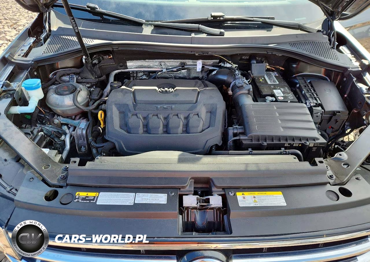 2022 Volkswagen Tiguan S VIN:3VV0B7AX6NM169881 - 12