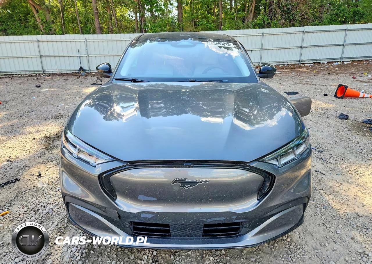 2023 Ford Mustang Mach-E Premium VIN:3FMTK3R45PMB00743 - 5
