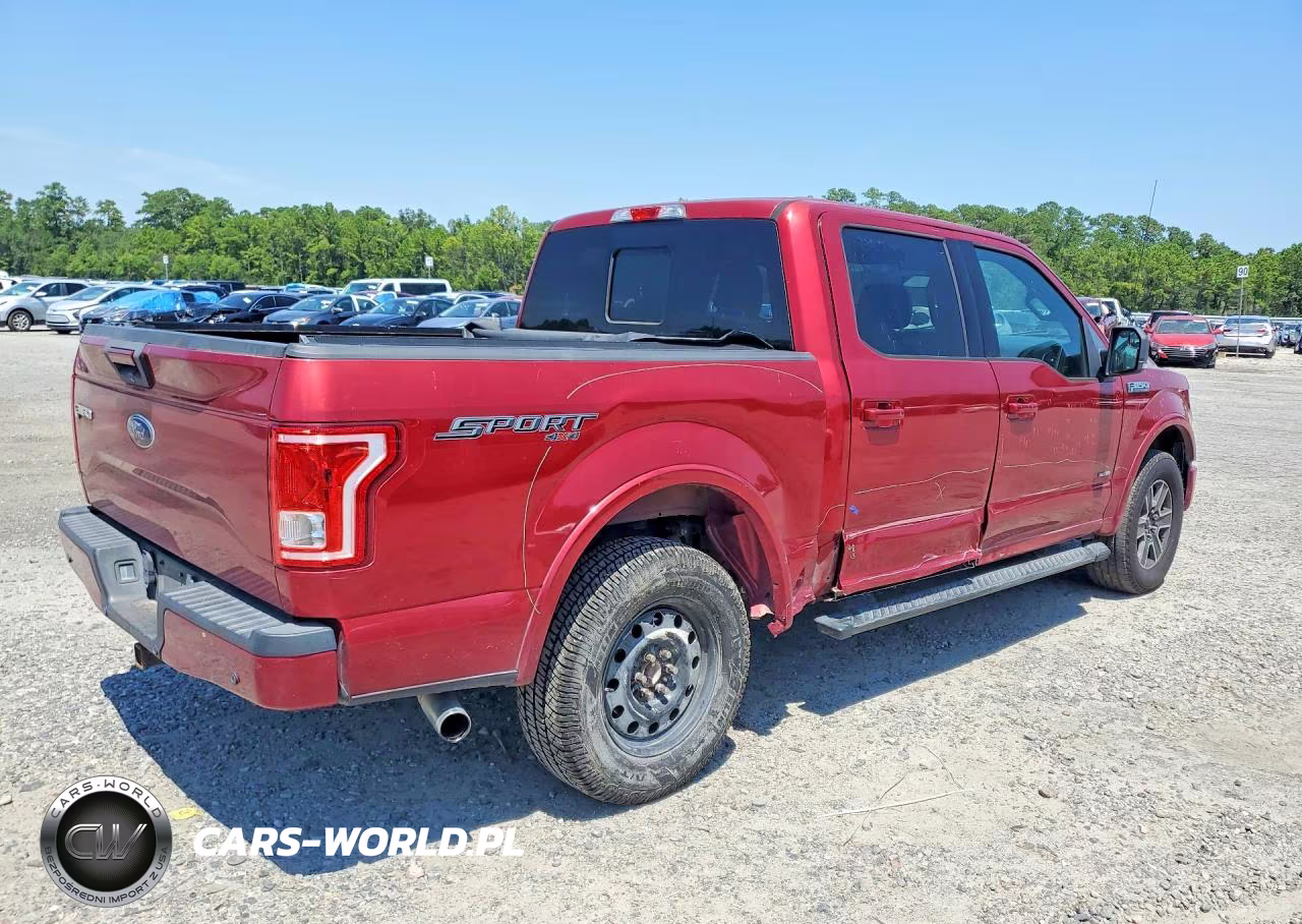 2016 Ford F150 Supercrew VIN:1FTEW1EP1GKE65529 - 3