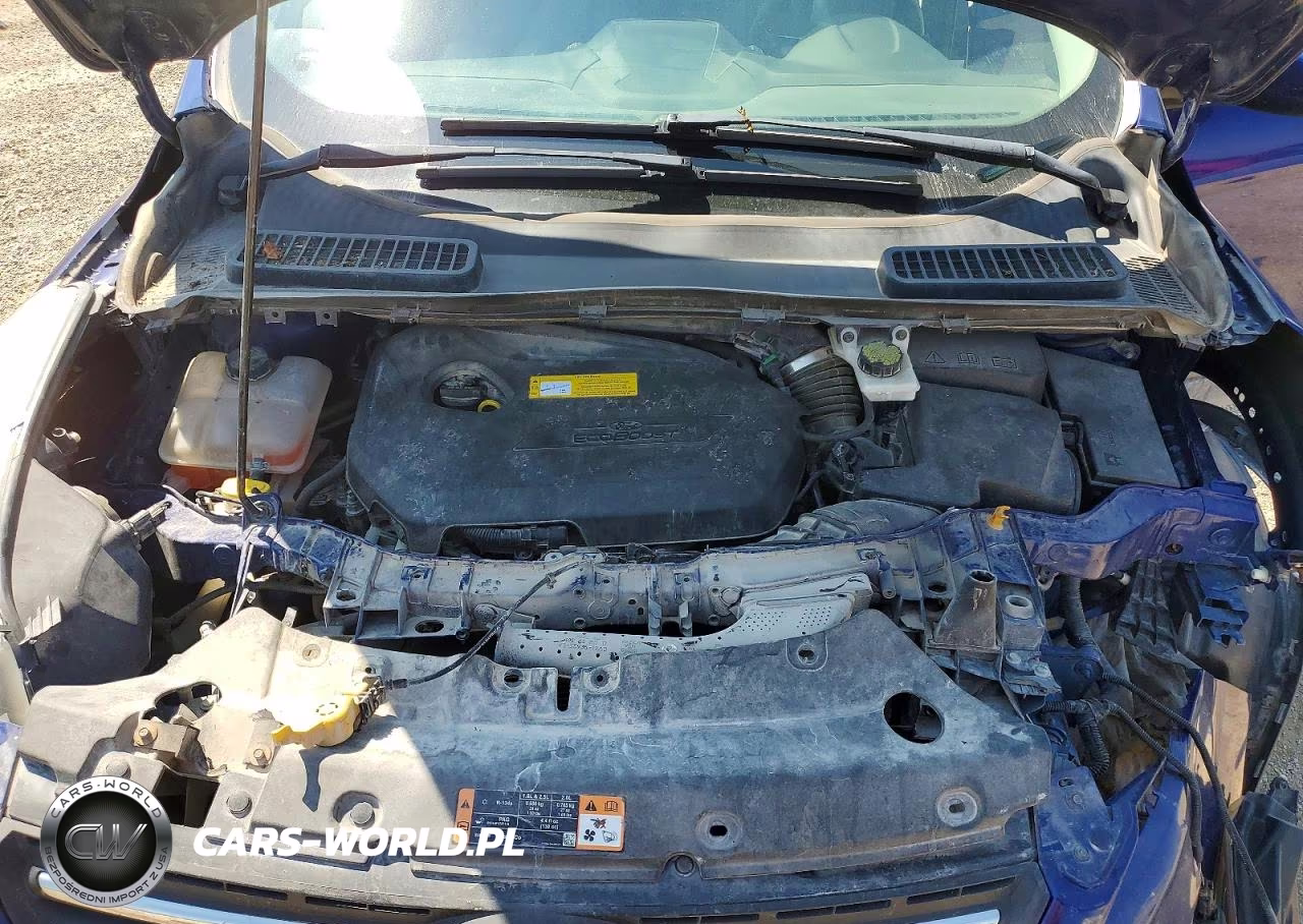 2016 Ford Escape Se VIN:1FMCU9GX4GUC87737 - 12