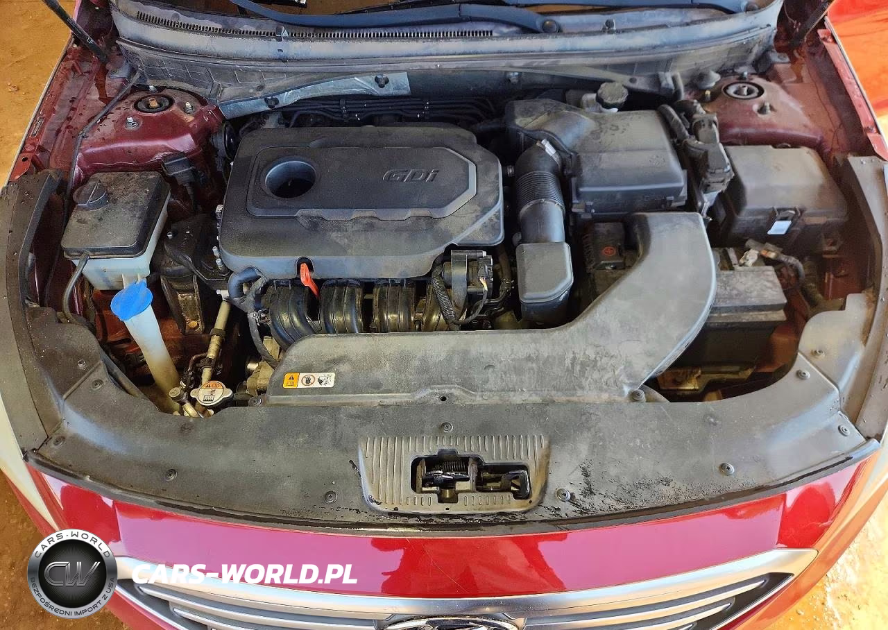2016 Hyundai Sonata Se VIN:5NPE24AF8GH300411 - 11