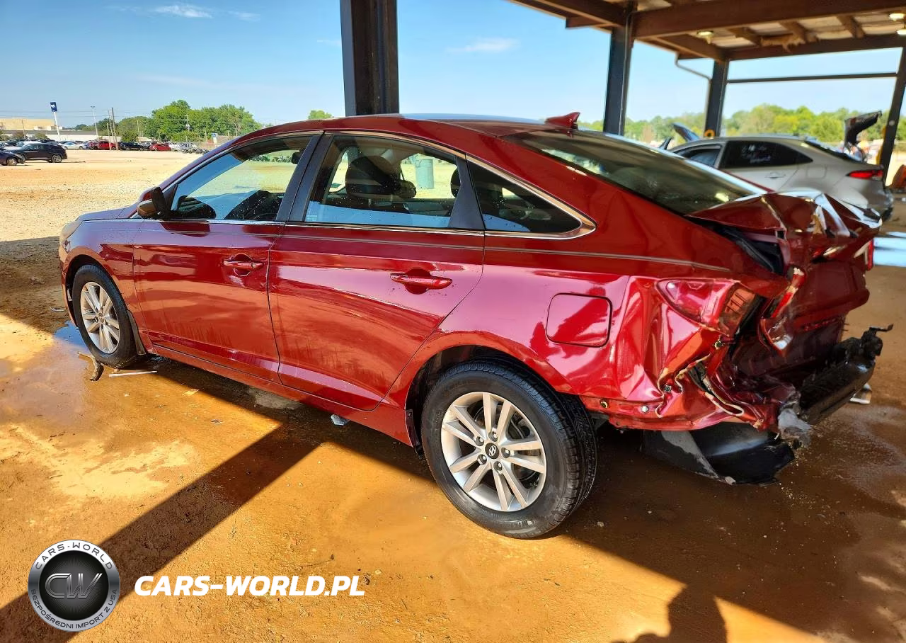 2016 Hyundai Sonata Se VIN:5NPE24AF8GH300411 - 2