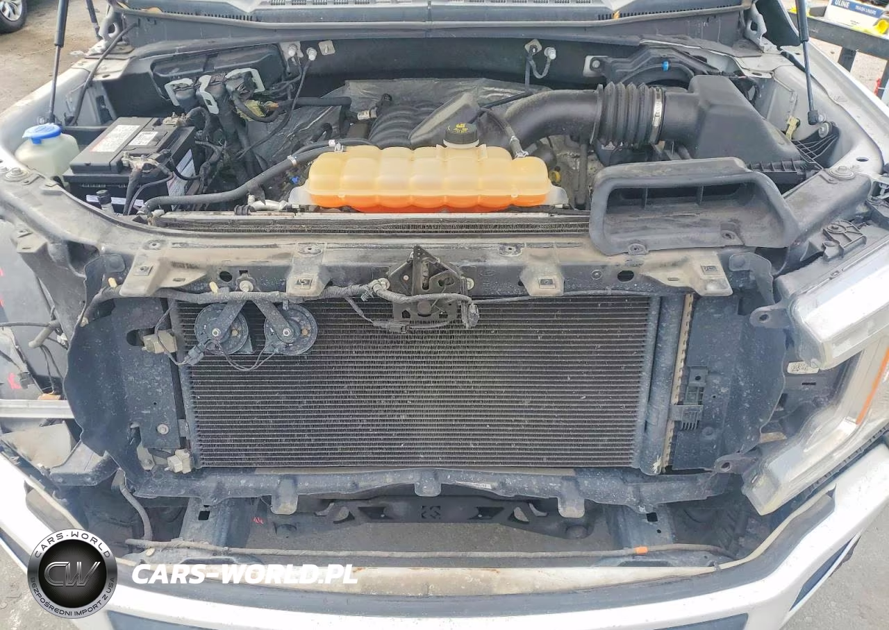 2019 Ford F150 Supercrew VIN:1FTEW1E57KFA69055 - 11