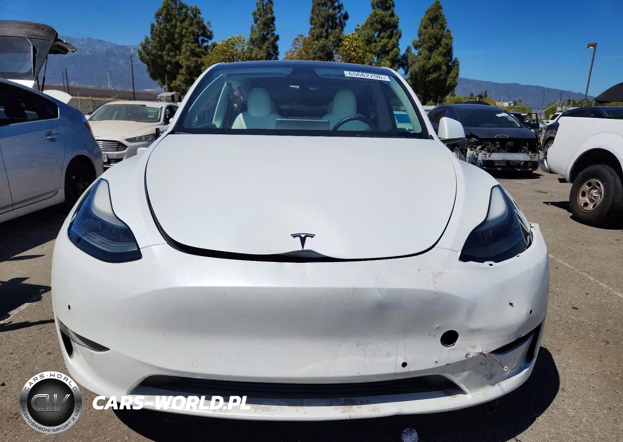 2022 Tesla Model Y VIN:7SAYGDEF8NF538346 - 5