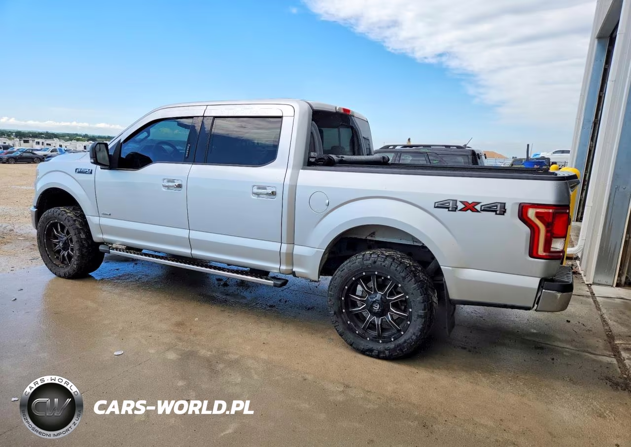 2016 Ford F150 Supercrew VIN:1FTEW1EG4GKD43814 - 2