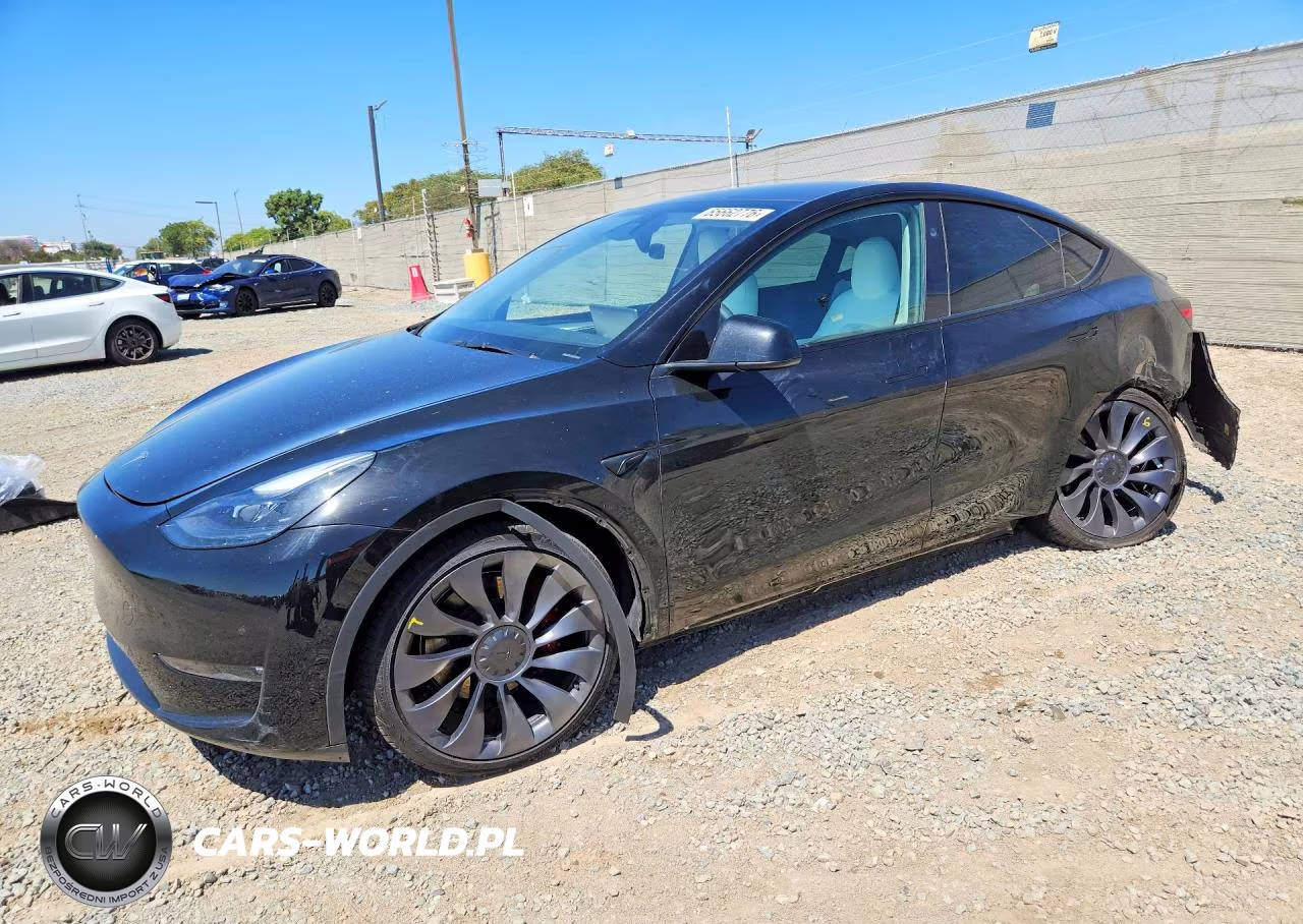 2024 Tesla Model Y
