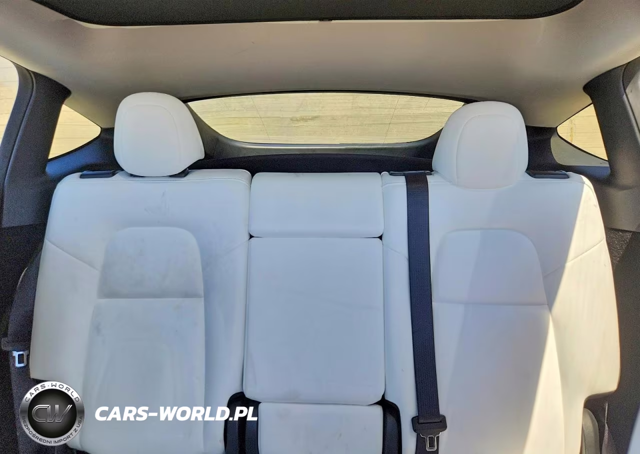 2024 Tesla Model Y VIN:7SAYGDEF8RF132993 - 10