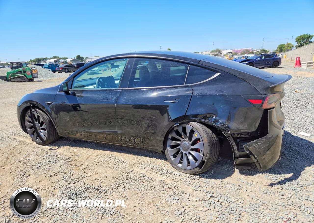 2024 Tesla Model Y VIN:7SAYGDEF8RF132993 - 2