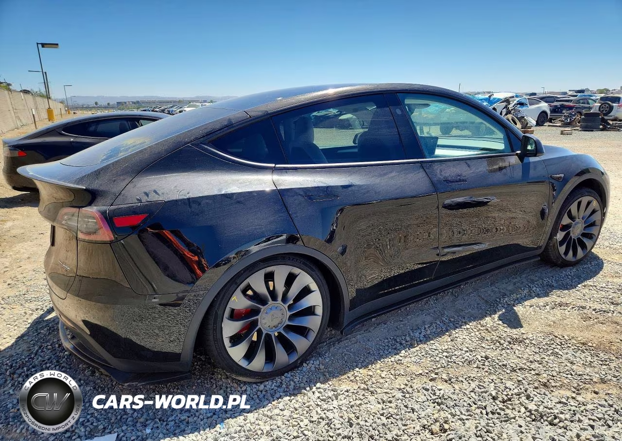 2024 Tesla Model Y VIN:7SAYGDEF8RF132993 - 3