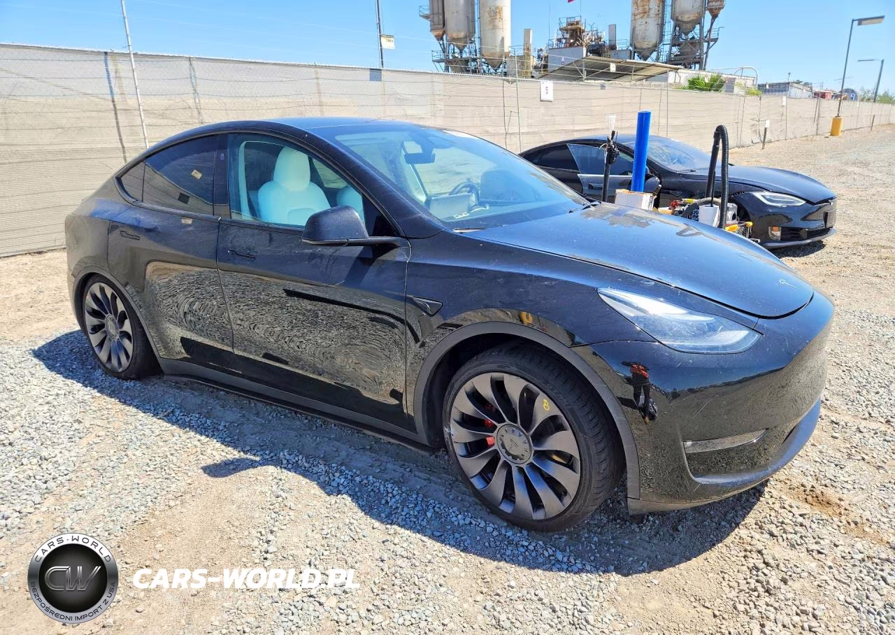 2024 Tesla Model Y VIN:7SAYGDEF8RF132993 - 4