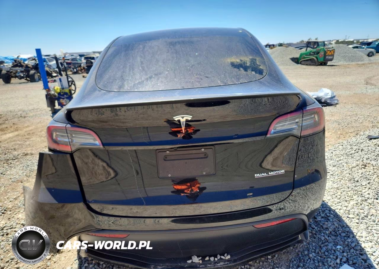 2024 Tesla Model Y VIN:7SAYGDEF8RF132993 - 6