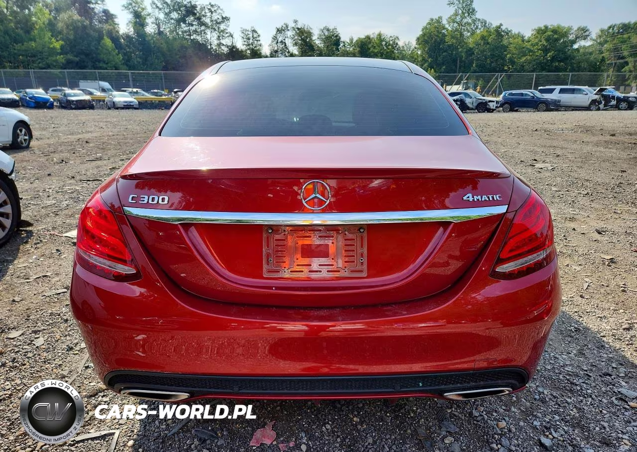 2017 Mercedes-Benz C 300 4Matic VIN:55SWF4KB0HU217218 - 6