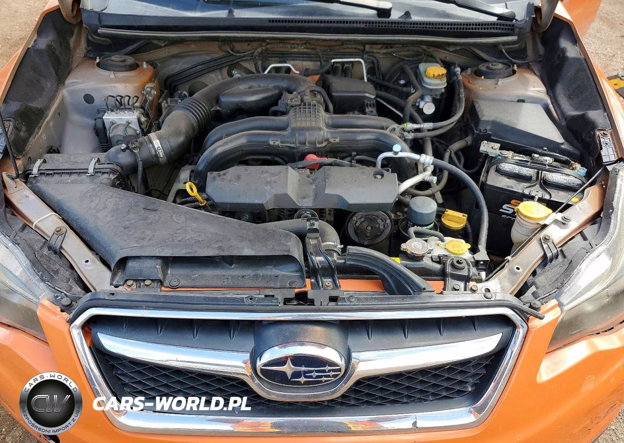 2013 Subaru Xv Crosstrek 2.0 Premium VIN:JF2GPACC3D1878447 - 12