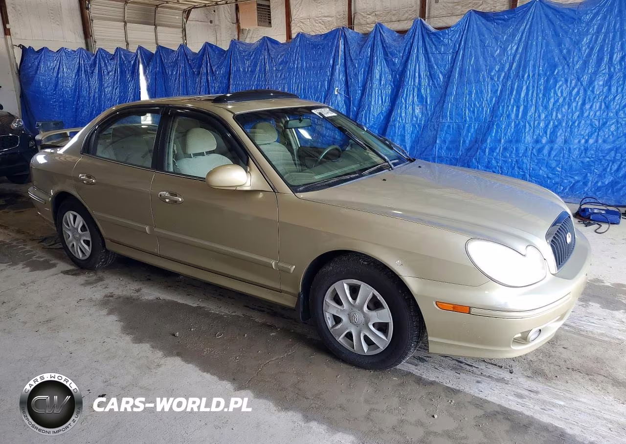 2003 Hyundai Sonata Base VIN:KMHWF25H33A826256 - 4