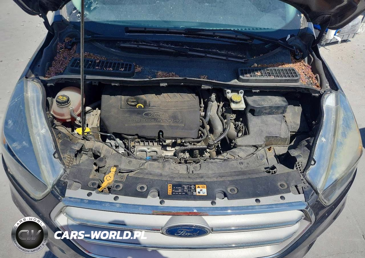 2018 Ford Escape Se VIN:1FMCU0GD4JUA96845 - 12