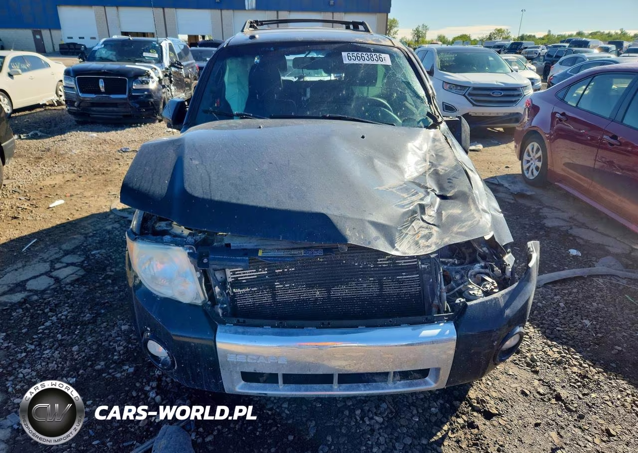 2010 Ford Escape Limited VIN:1FMCU0EGXAKB53784 - 5