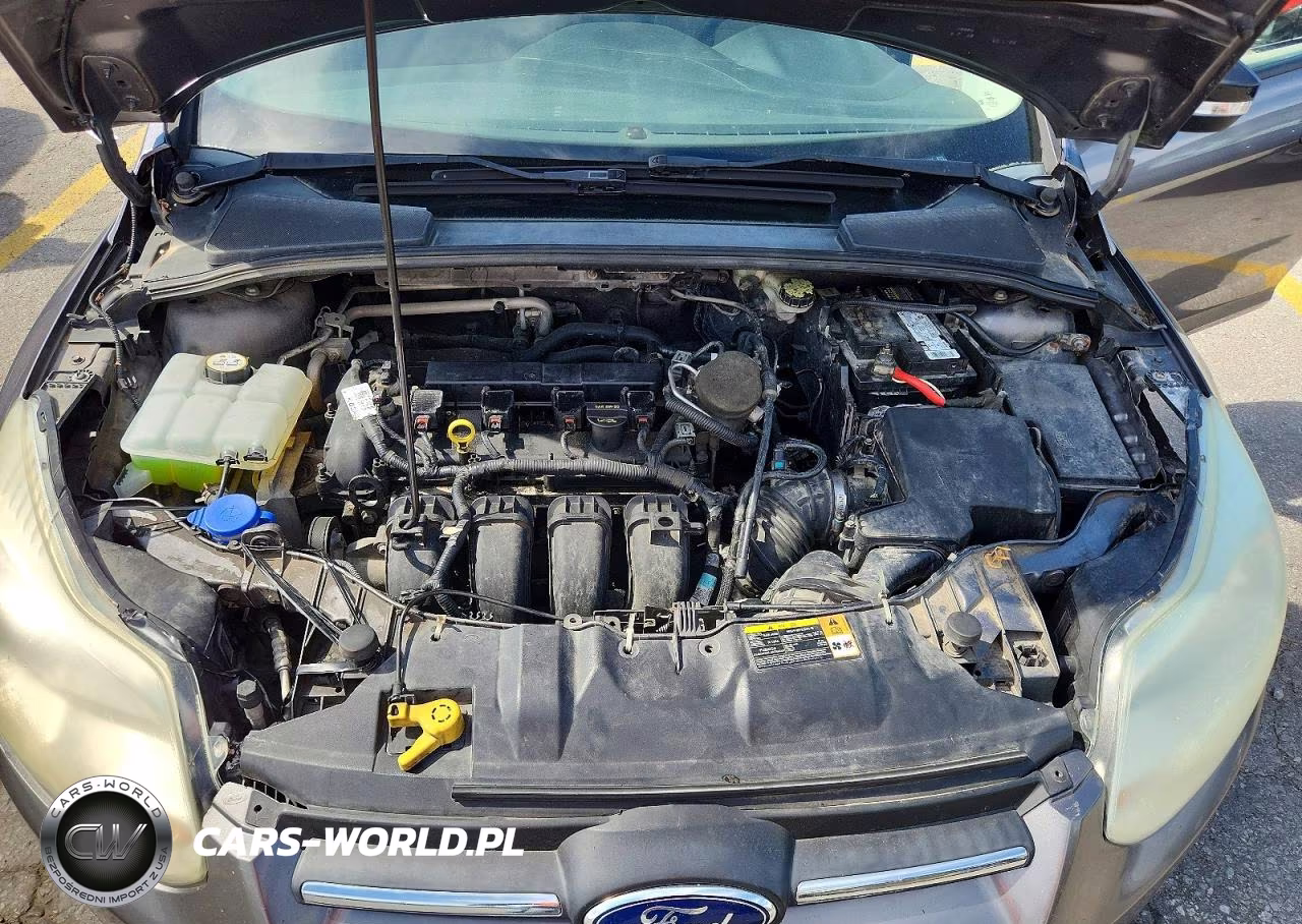 2013 Ford Focus Se VIN:1FADP3F28DL292465 - 11