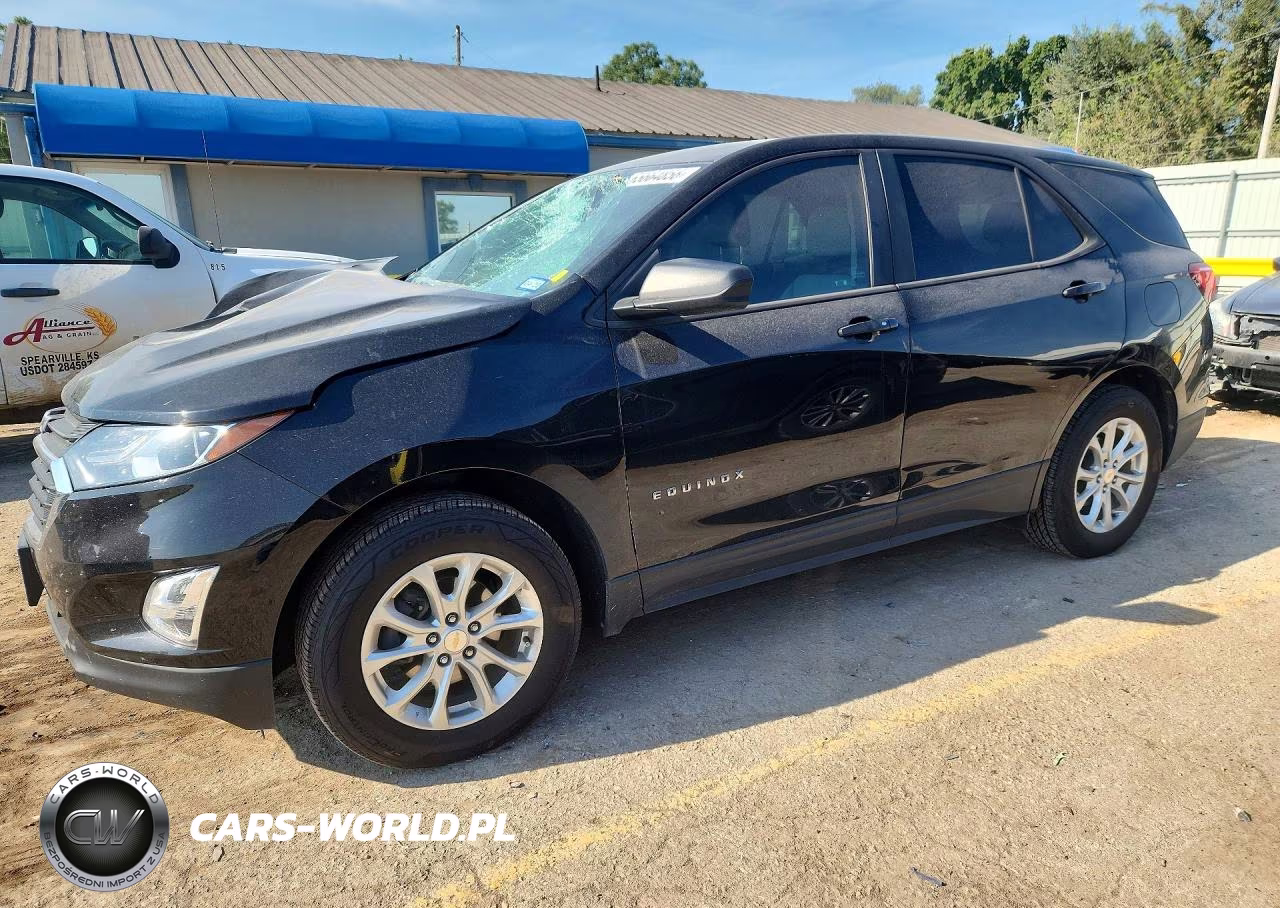 2020 Chevrolet Equinox Ls VIN:2GNAXSEV1L6194850 - 1