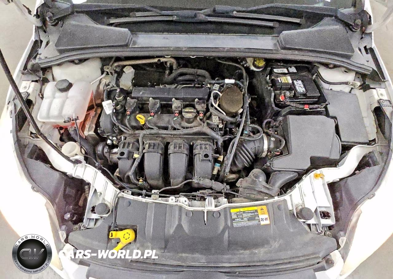 2013 Ford Focus Se VIN:1FADP3F26DL195281 - 11