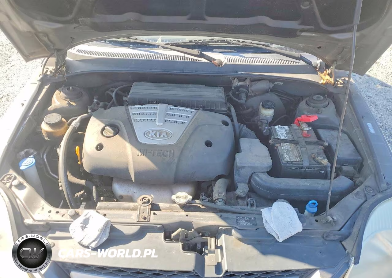 2003 Kia Rio Base VIN:KNADC125X36211504 - 11
