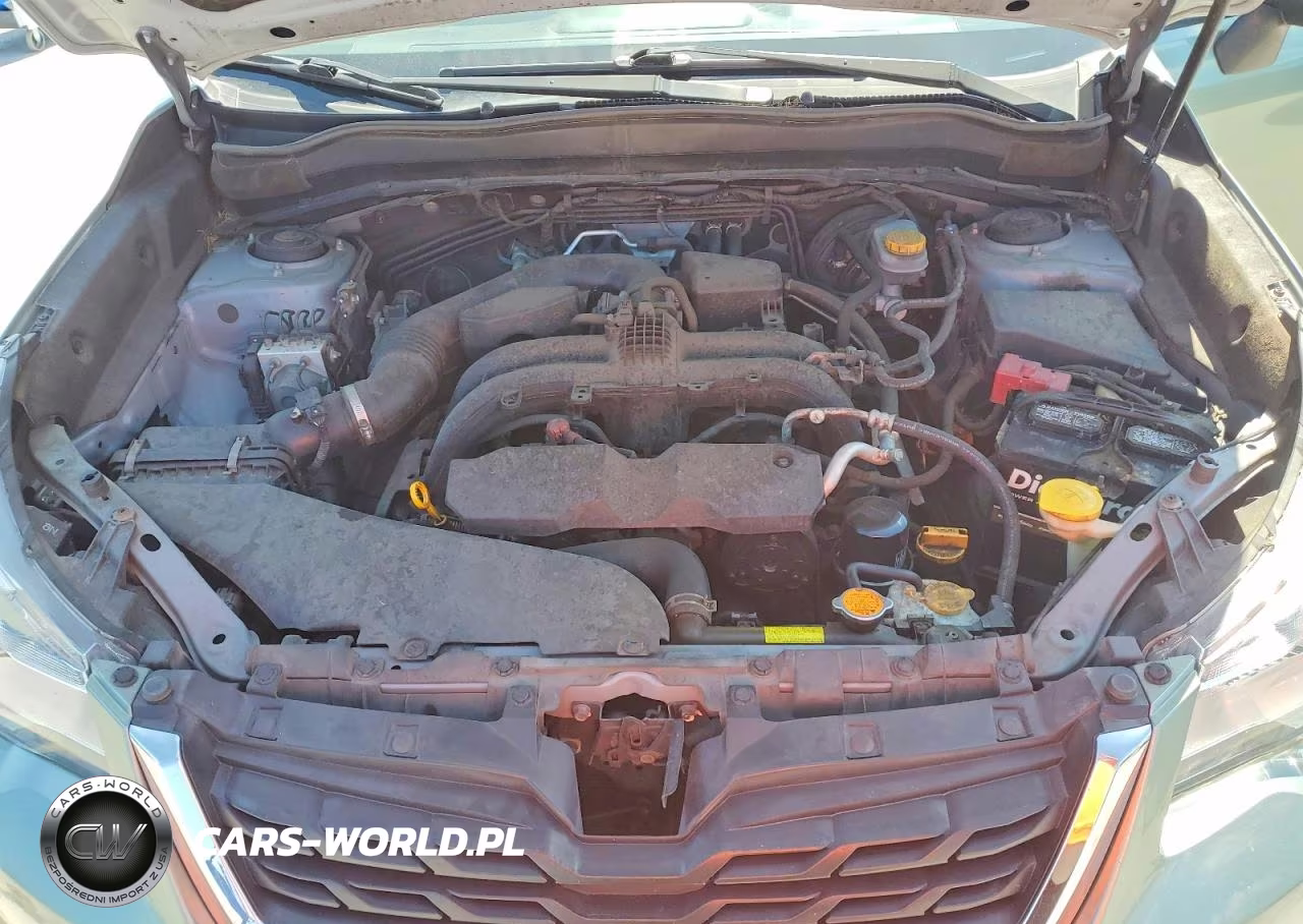 2017 Subaru Forester 2.5I VIN:JF2SJABC1HH462004 - 12