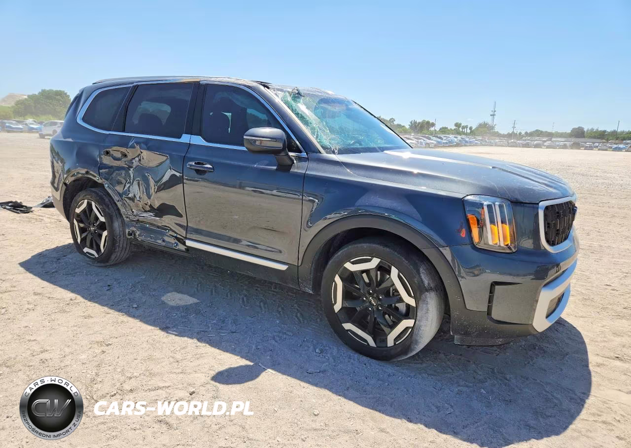 2024 Kia Telluride Ex VIN:5XYP34GC0RG522681 - 4