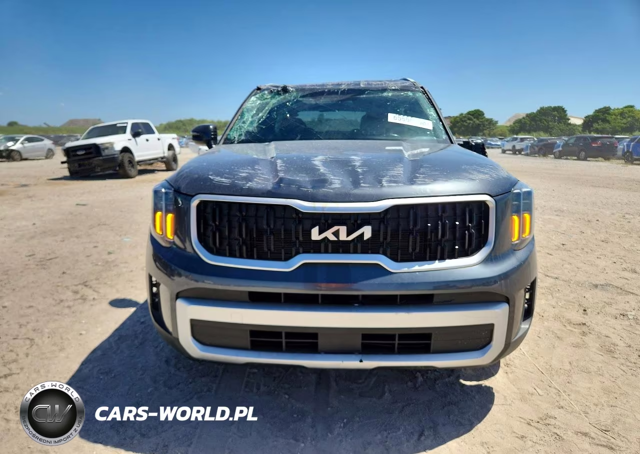 2024 Kia Telluride Ex VIN:5XYP34GC0RG522681 - 5