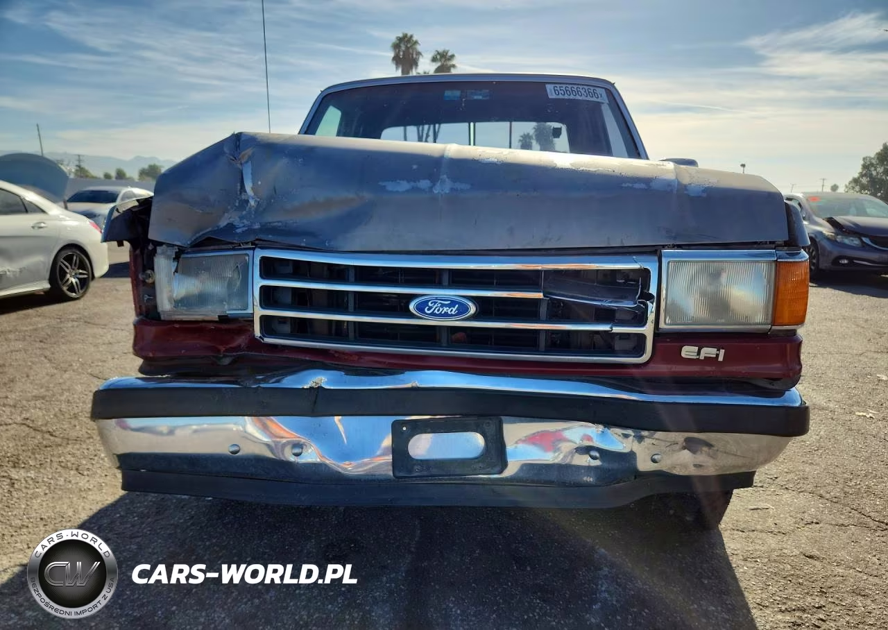 1990 Ford F150 VIN:1FTEX15Y5LKA58393 - 5