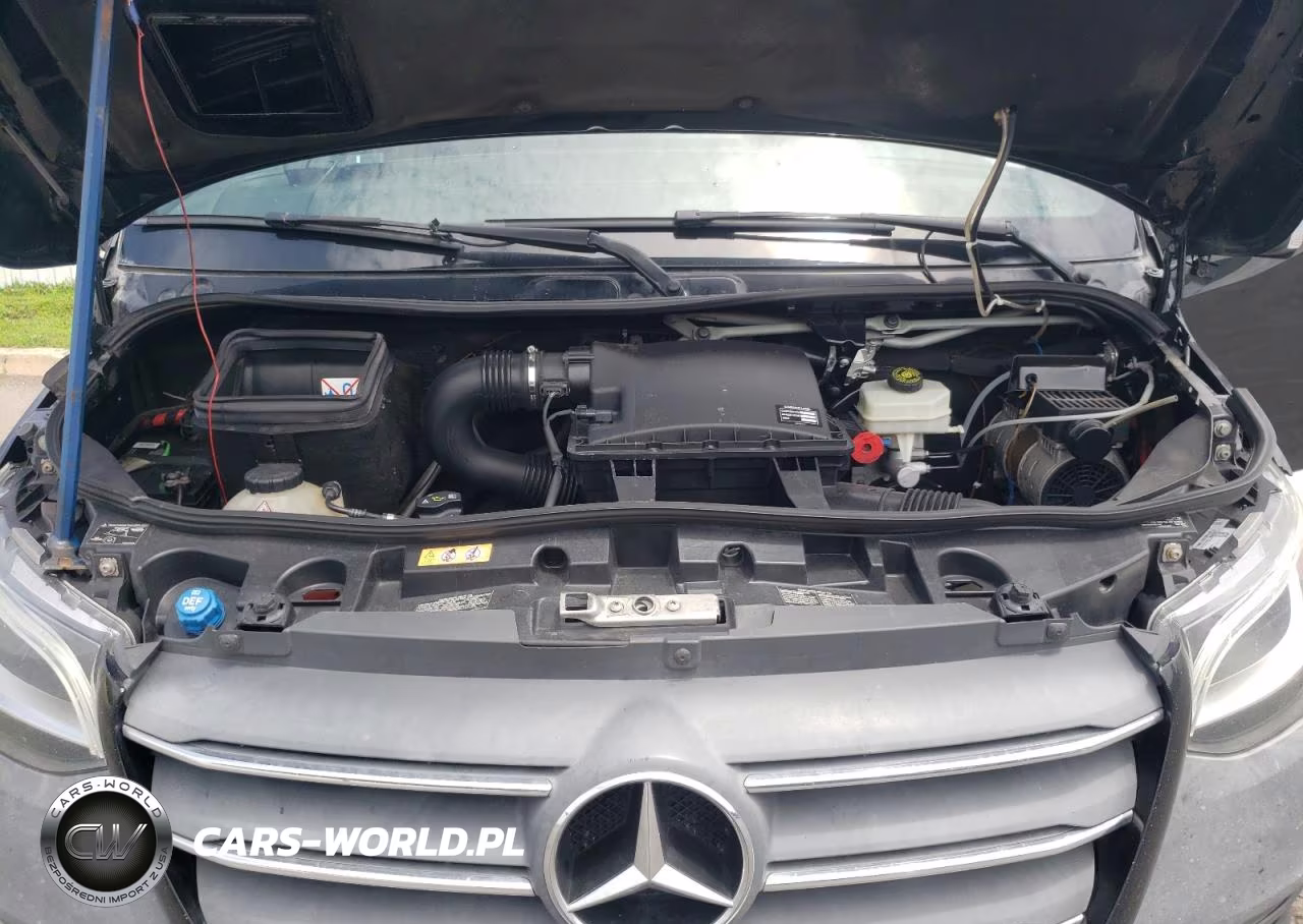 2020 Mercedes-Benz Sprinter 2500 VIN:W1X4EDHYXLT019808 - 11