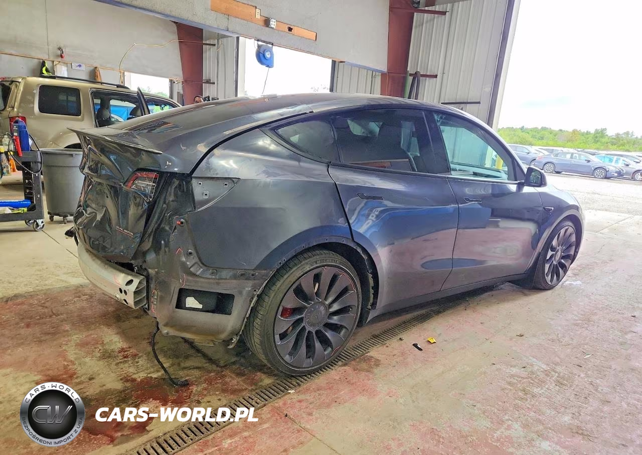 2022 Tesla Model Y VIN:7SAYGDEF6NF377219 - 3