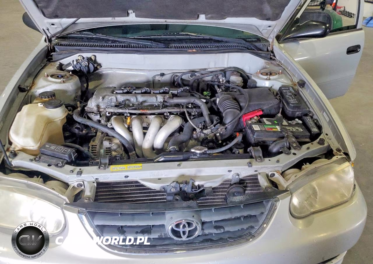 2001 Toyota Corolla Ce VIN:1NXBR12E51Z485738 - 11