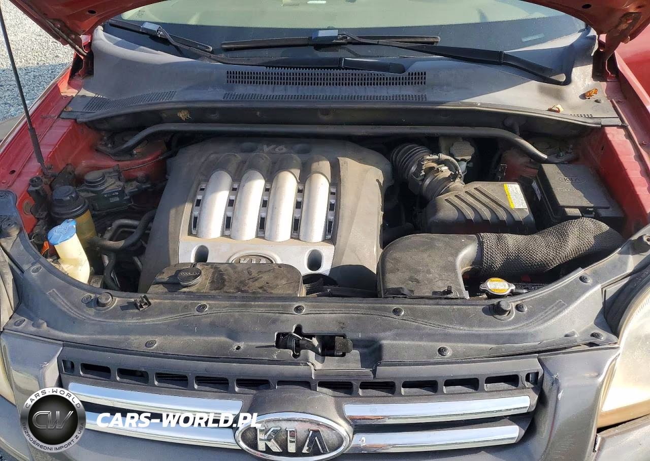 2006 Kia Sportage Lx VIN:KNDJE723267164131 - 12