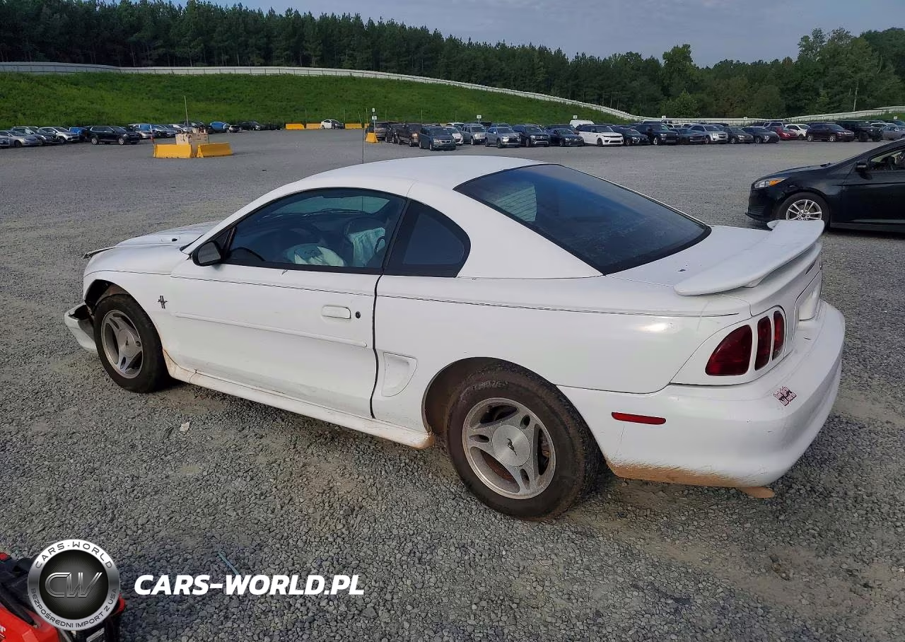 1998 Ford Mustang VIN:1FAFP4041WF117209 - 2