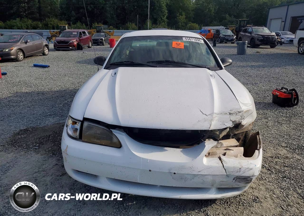 1998 Ford Mustang VIN:1FAFP4041WF117209 - 5