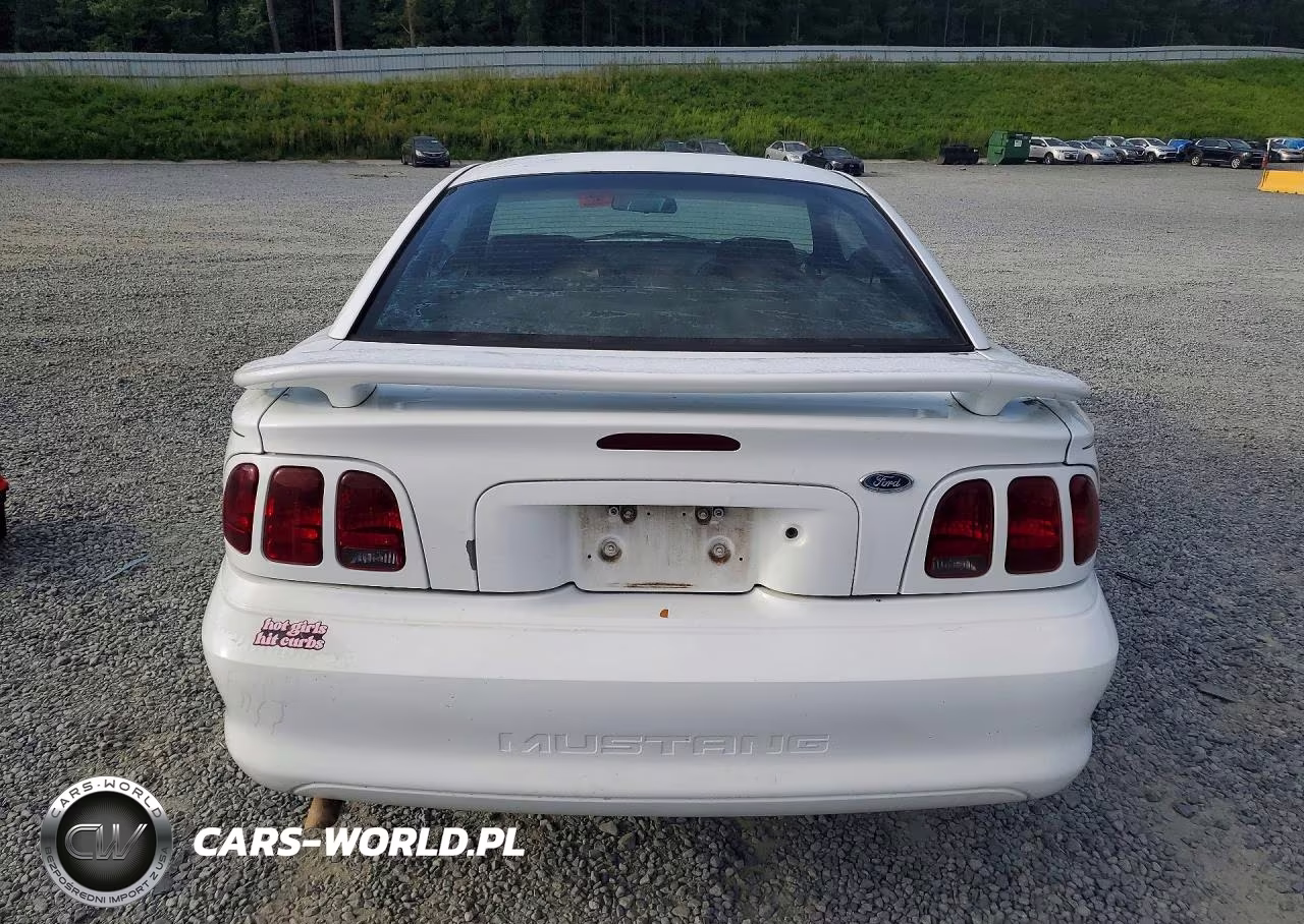 1998 Ford Mustang VIN:1FAFP4041WF117209 - 6