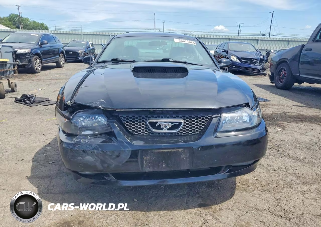 2004 Ford Mustang Gt VIN:1FAFP42X74F128235 - 5