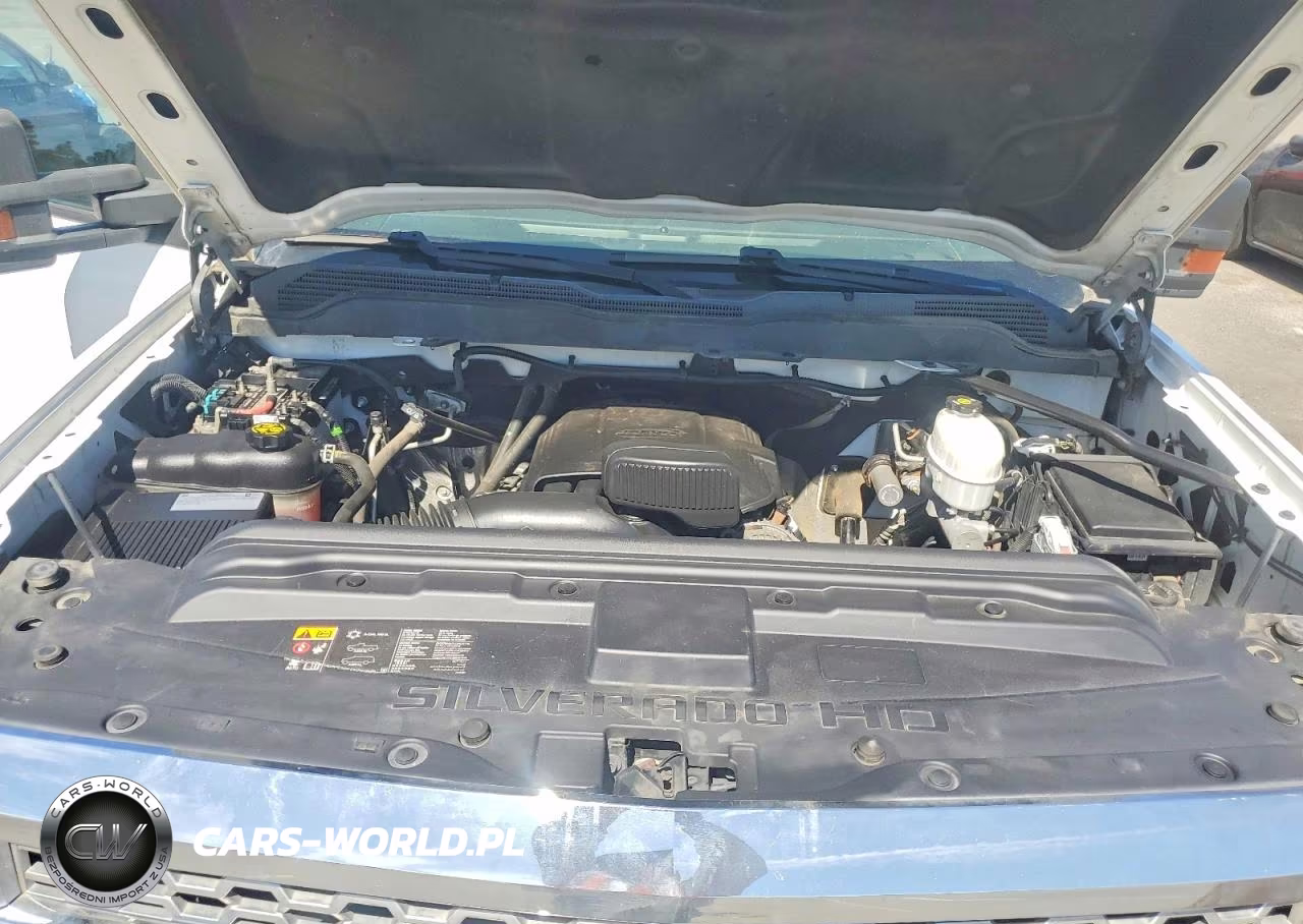 2019 Chevrolet Silverado C2500 Heavy Duty VIN:2GC2CREG3K1222761 - 11