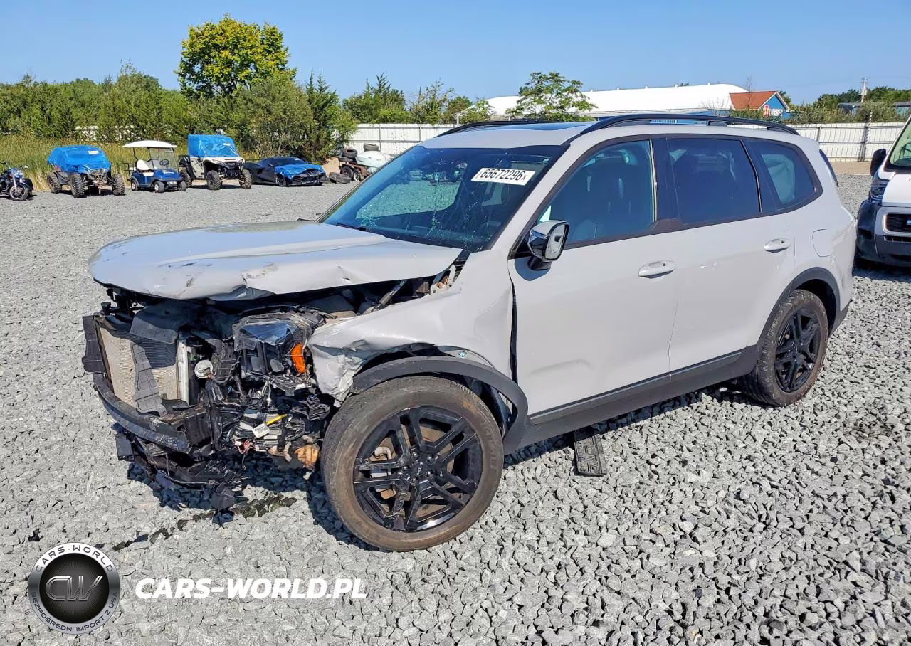 2023 Kia Telluride Sx X-Line VIN:5XYP5DGC1PG324795 - 1