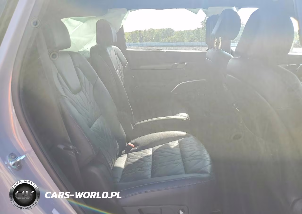 2023 Kia Telluride Sx X-Line VIN:5XYP5DGC1PG324795 - 11