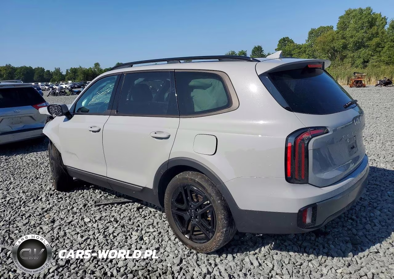 2023 Kia Telluride Sx X-Line VIN:5XYP5DGC1PG324795 - 2