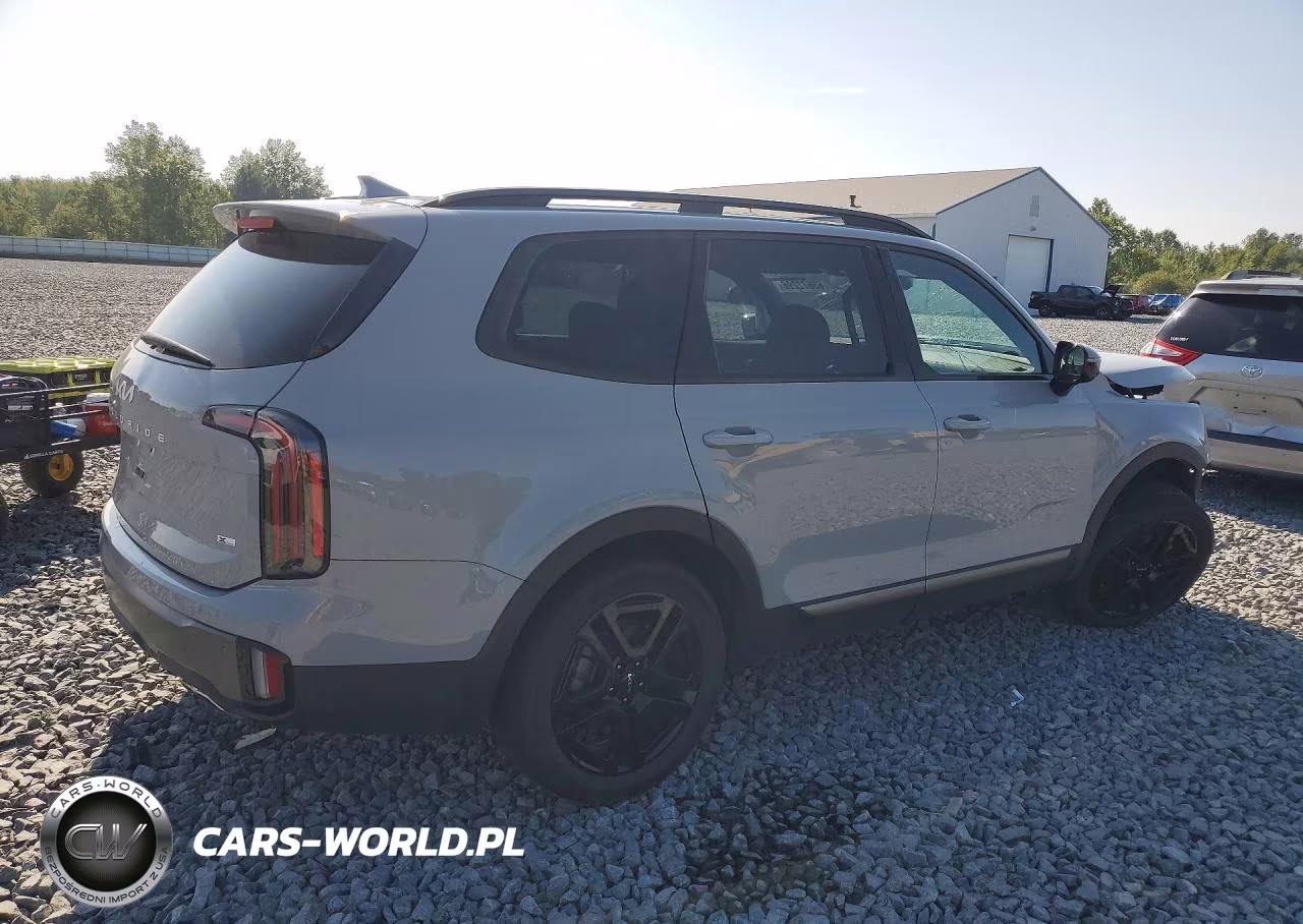 2023 Kia Telluride Sx X-Line VIN:5XYP5DGC1PG324795 - 3