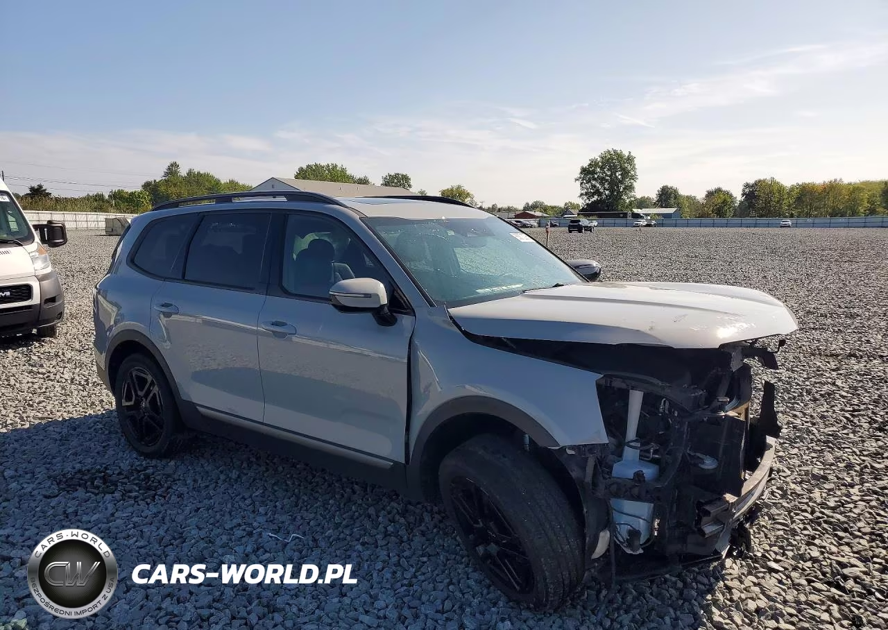 2023 Kia Telluride Sx X-Line VIN:5XYP5DGC1PG324795 - 4