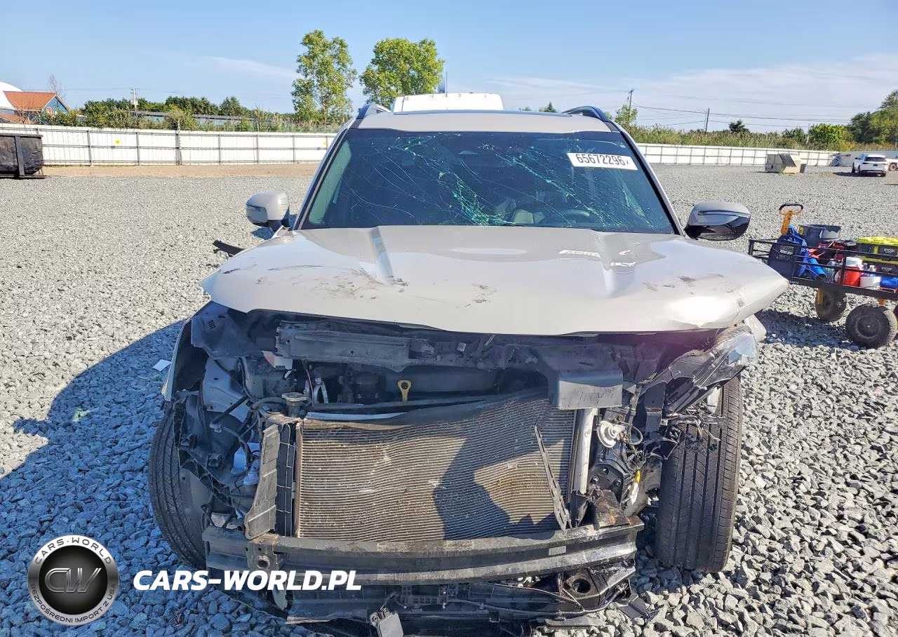 2023 Kia Telluride Sx X-Line VIN:5XYP5DGC1PG324795 - 5