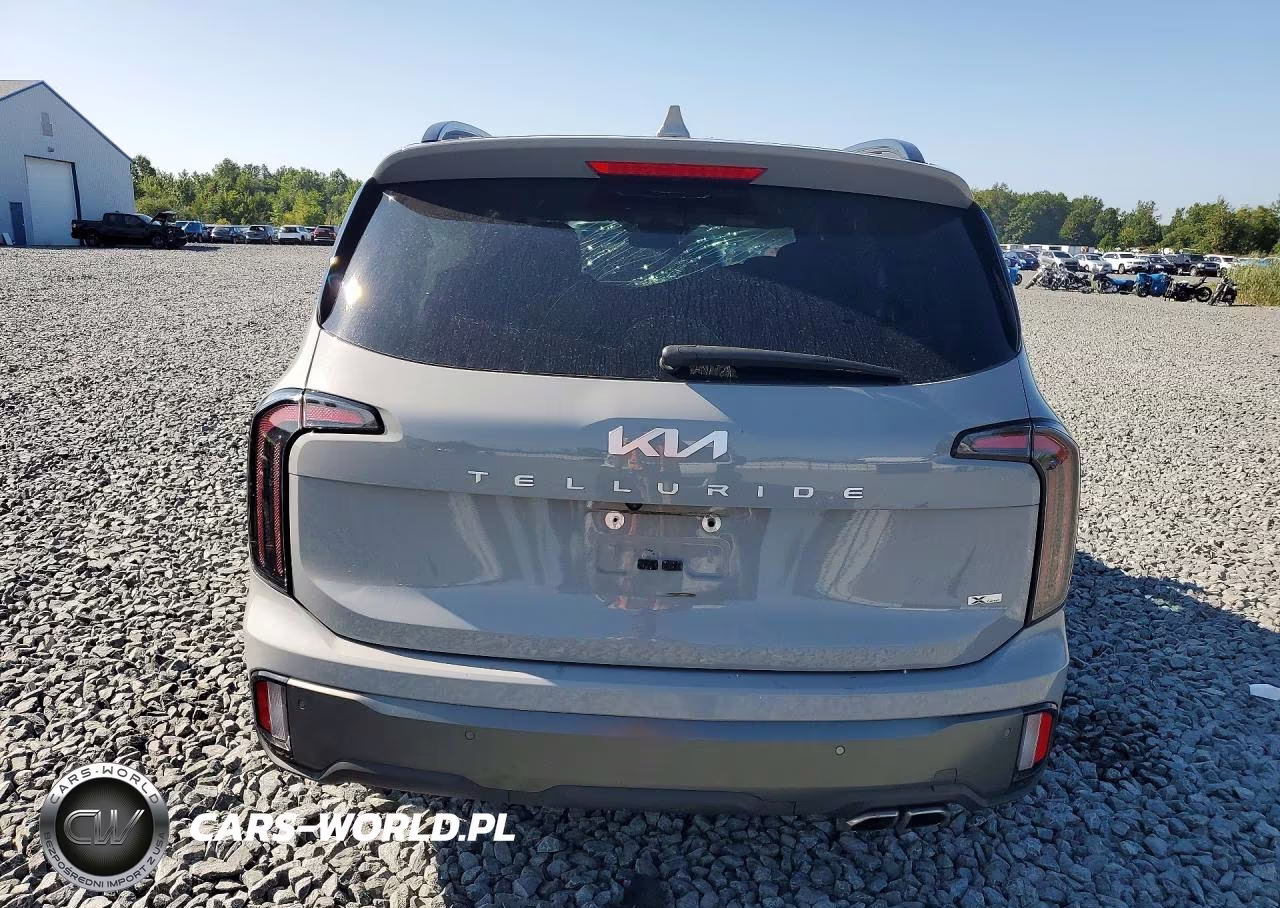 2023 Kia Telluride Sx X-Line VIN:5XYP5DGC1PG324795 - 6