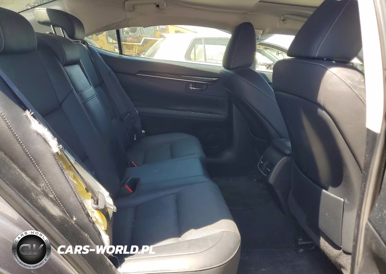 2018 Lexus Es 300H VIN:JTHBW1GG6J2193694 - 10
