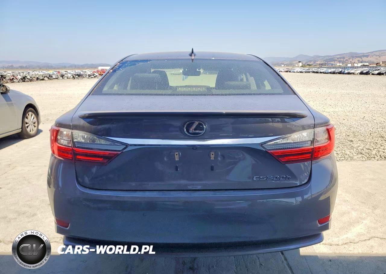 2018 Lexus Es 300H VIN:JTHBW1GG6J2193694 - 6