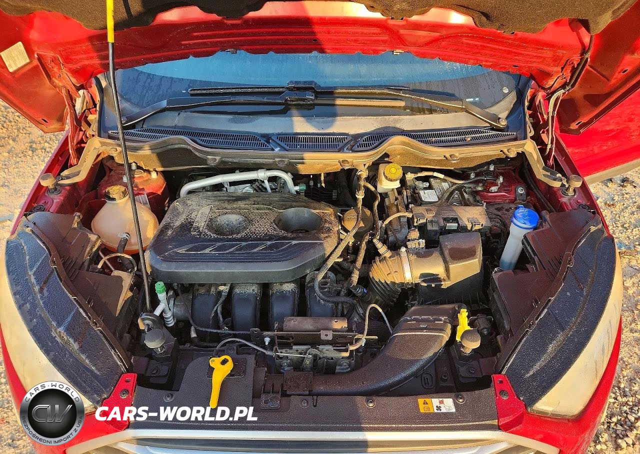 2019 Ford Ecosport Se VIN:MAJ6S3GL6KC305922 - 11
