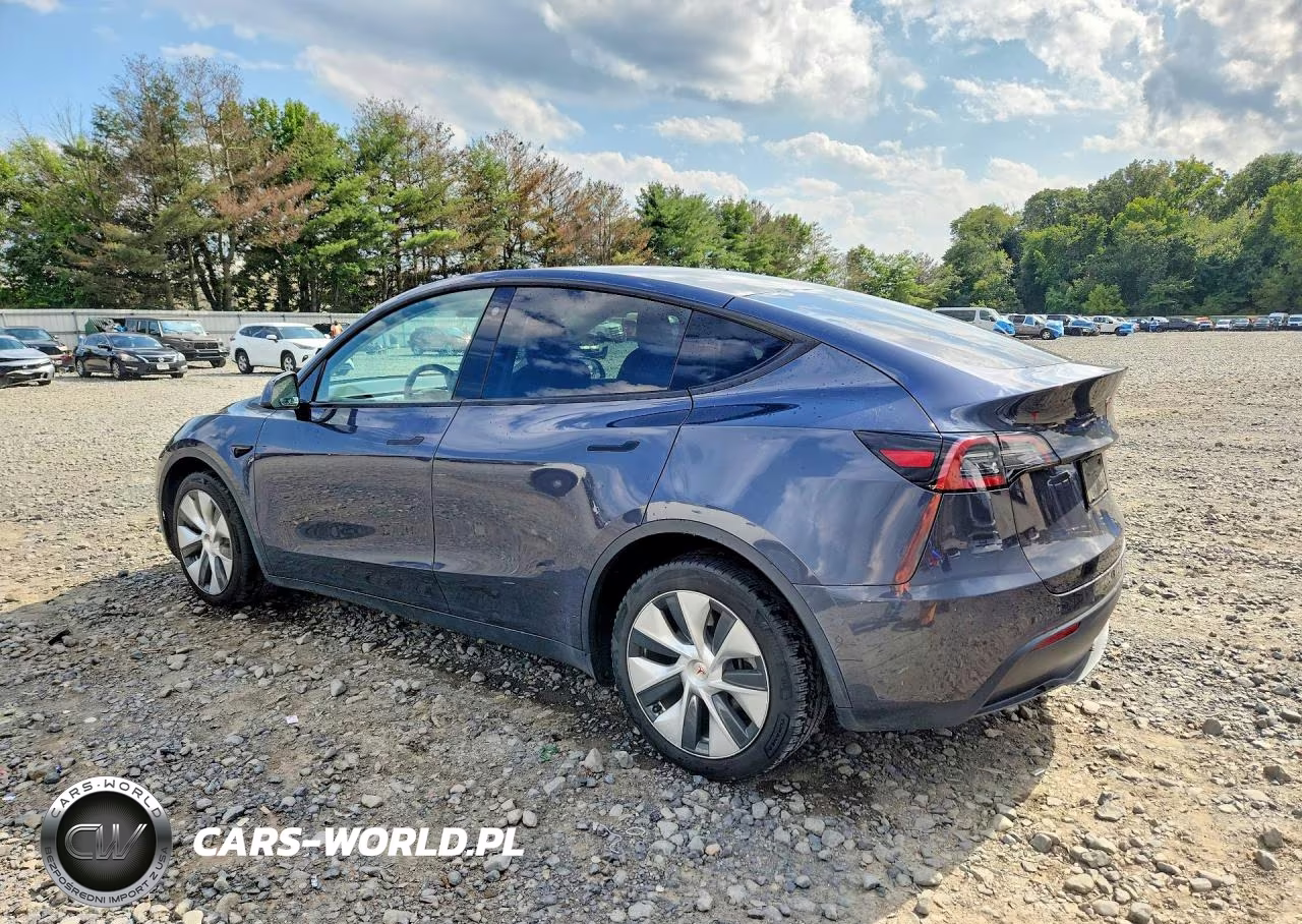 2022 Tesla Model Y VIN:7SAYGDEE8NF380422 - 2