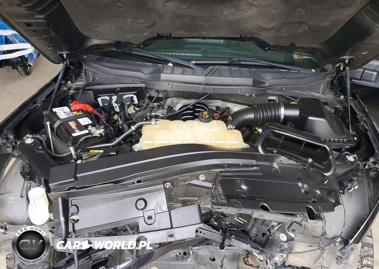 2021 Ford F150 Supercrew VIN:1FTFW1E54MFD11520 - 11