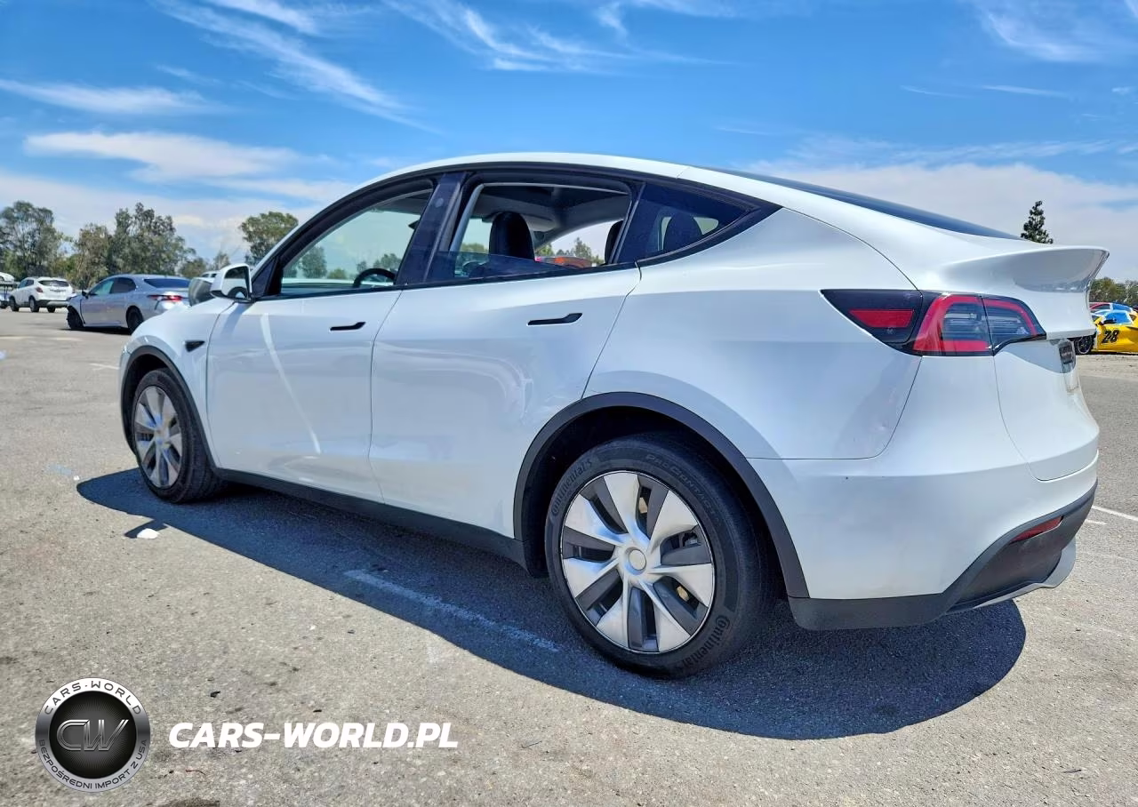 2023 Tesla Model Y VIN:7SAYGDEE9PA141235 - 2
